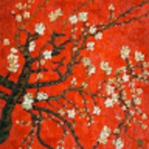 Meet your Posher, Kiara